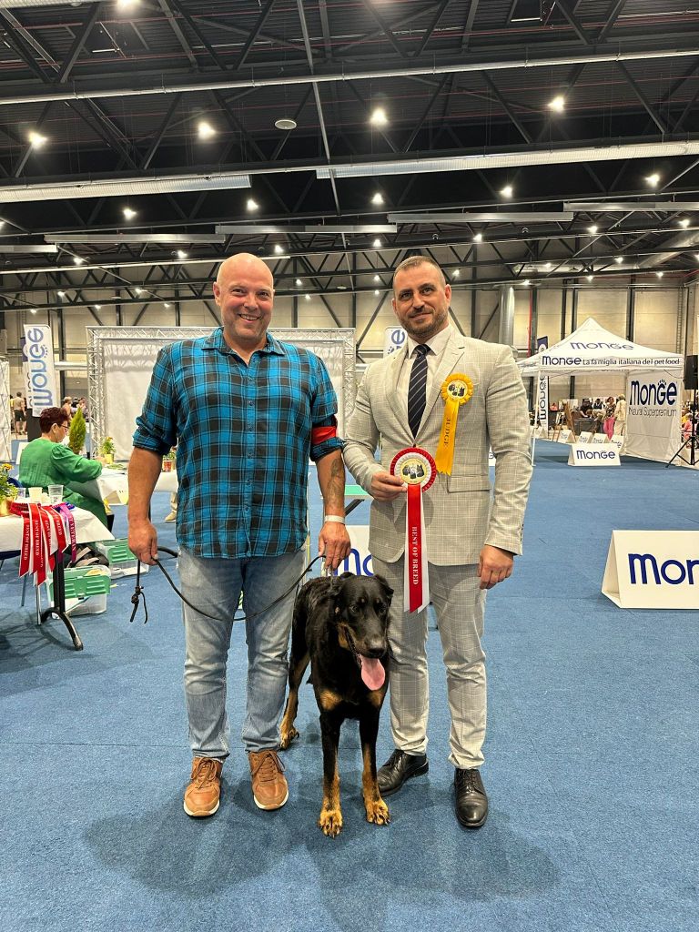 Golden Dog Trophy Liège