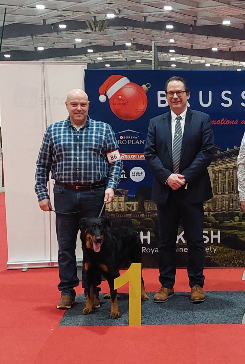 L'ami De La Campagne - Brussels Dogshow