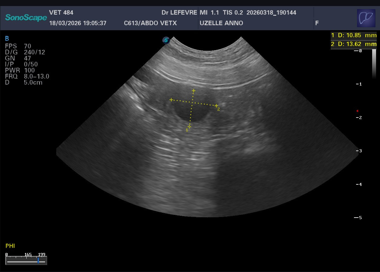 L'ami De La Campagne - Uzelle is drachtig!! / est enciente!!