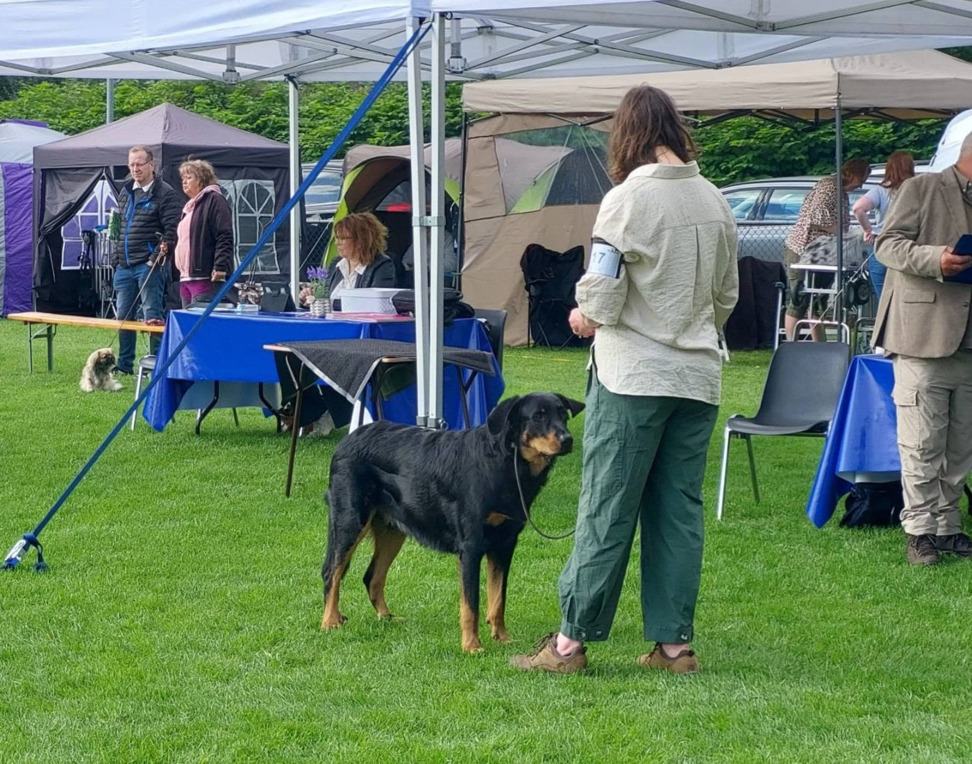 Dogshow Eindhoven